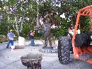 Installation at Esplanade Park